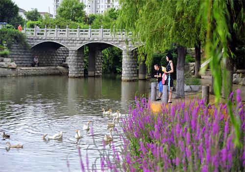 Ѱ������������